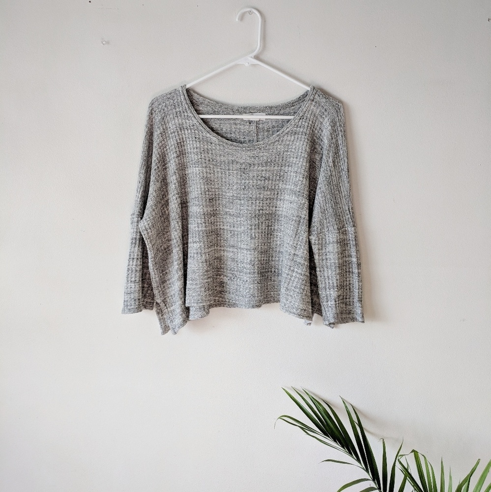 Velvet by Graham and Spencer Crop Top